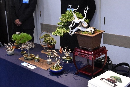 会場展示（さいたま市の盆栽）